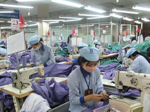 越南出口驟降80%、42900家工廠停工 訂單流失背后與中國的經濟角色